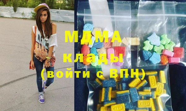 дмт Бородино