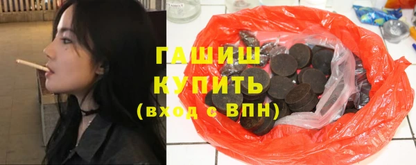 дмт Бородино