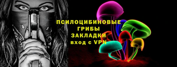 дмт Бородино
