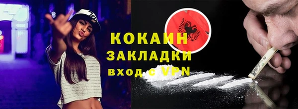 дмт Бородино