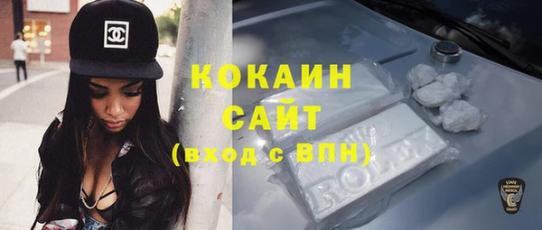 бошки Бронницы