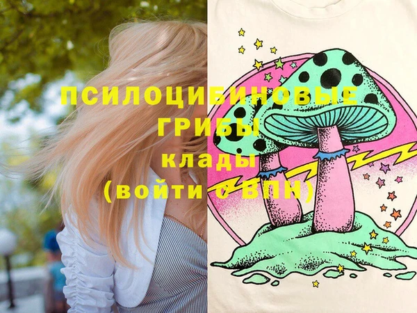 бошки Бронницы