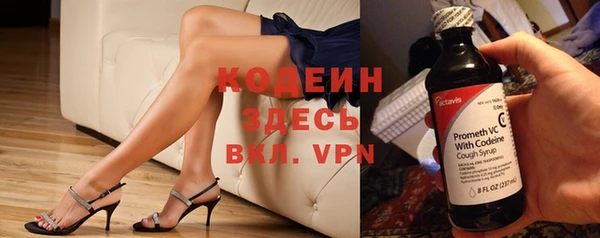 дмт Бородино