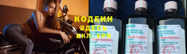 дмт Бородино