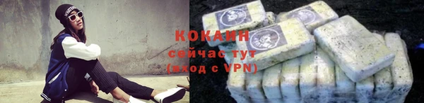 бошки Бронницы