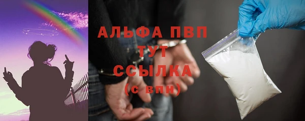 дмт Бородино