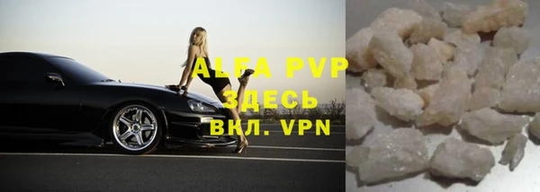 дмт Бородино