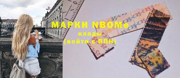 бошки Бронницы