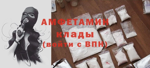 дмт Бородино