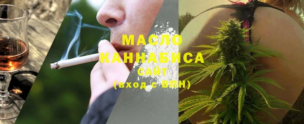 дмт Бородино